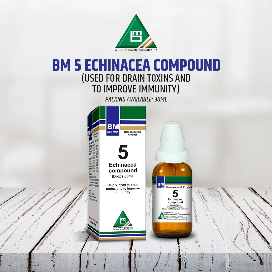bm5 BM 5 Echinacea - Image 1