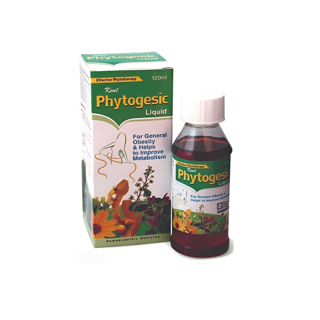 phytogesic Phytogesic Syrup Sugar free - Image 1