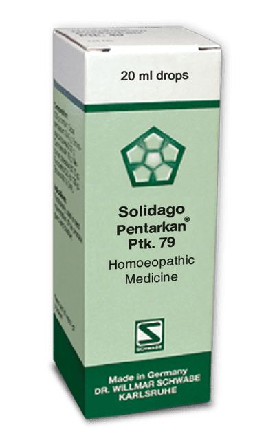 ptk89 Ptk 79 Solidago Pentarkan - Image 1
